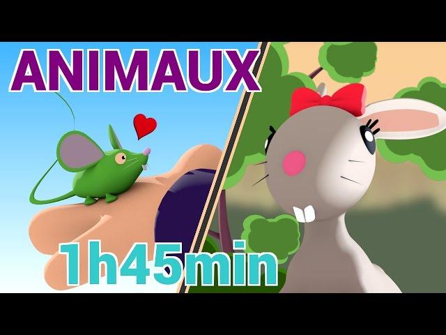 Comptines des Animaux - Les Patapons