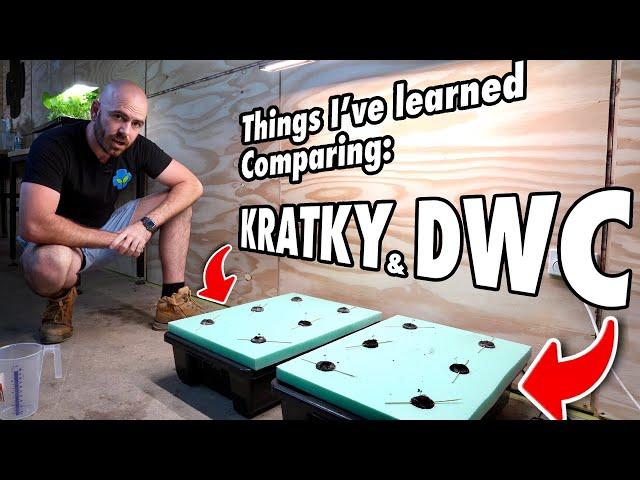 Deep Water Culture vs Kratky... And the Importance of Air Flow in Indoor Systems