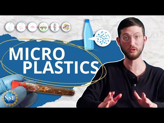 [Microplastics] Why You Should Care