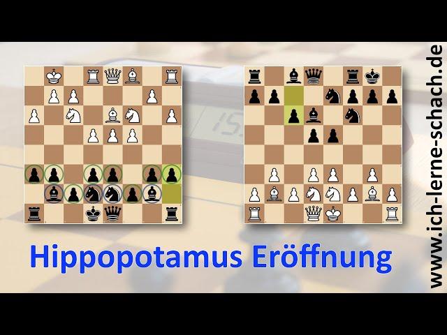 Die Hippopotamus Eröffnung.