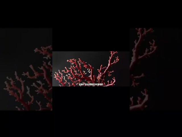 秉承全球原生态各种珠宝大自然搬运工和加工者的理念，无中间商差价。YouTube首家支持分期付款的公司，首家全球各地回流各种物品帮您代卖的公司！