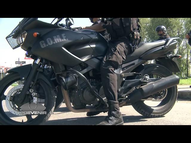 Prevenir TV - GOMF PFA, Grupo de Operaciones Motorizadas Federales