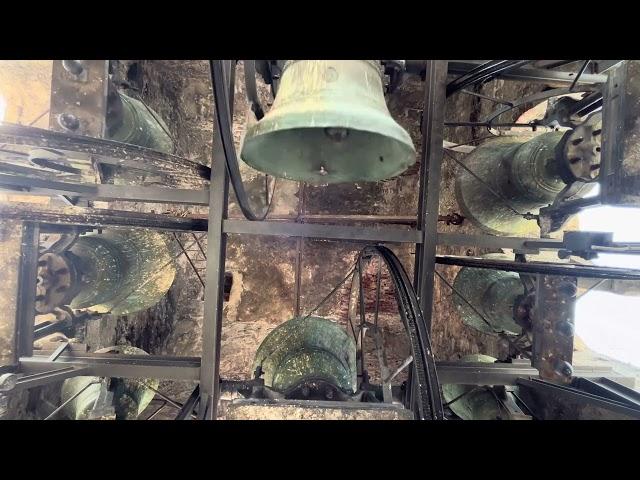 Le campane di Cannobio (VB) Collegiata di San Vittore Martire