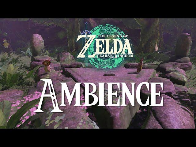 Gloomy Korok Forest | Tears of the Kingdom | 1 Hour Relaxing Zelda Ambience Sounds ASMR