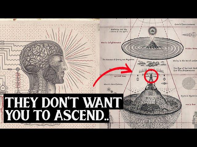 How to Know if You're Ascending to The 5th Dimension | 7 Signs You’re Shifting