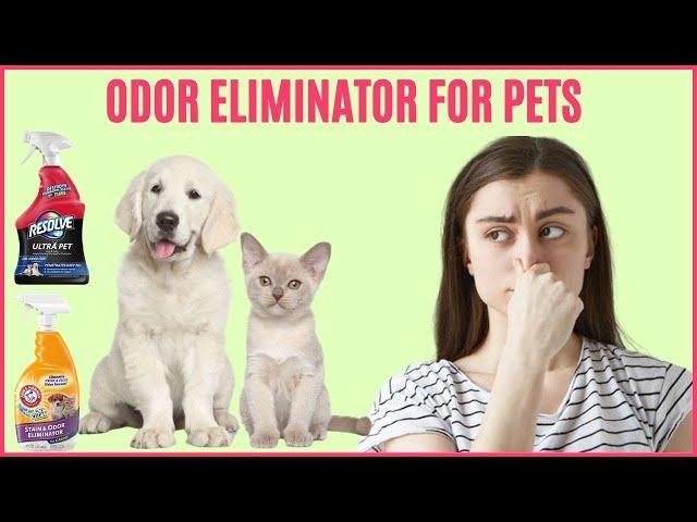 Best Odor Eliminator for Pets - Odor Eliminator for Strong Odors