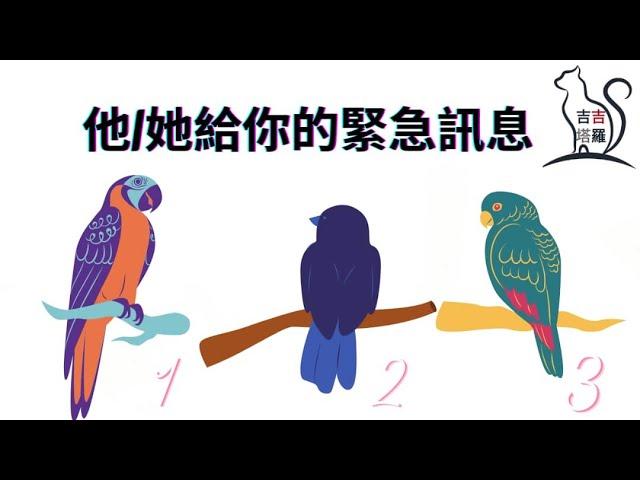 【#2068】【塔罗·字卡·占卜】他/她給你的緊急訊息 | 紋理塔羅牌 | 天使指引神諭卡 | 神話與人魚：水之神諭卡 | 彩虹卡 (無時間限制)