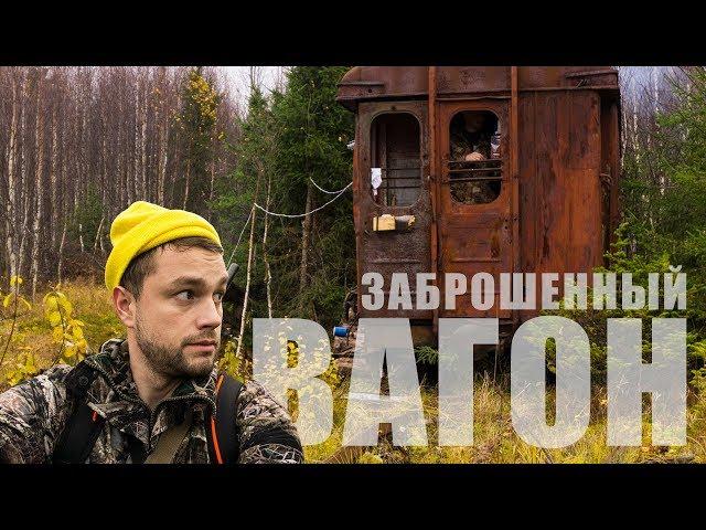 В поисках лося и боровой дичи. Как из старого вагона УЖД сделать избу. Готовка в лесу. Охота в Коми