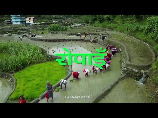 ROPAIN VLOG | Teaser| Gantabya Nepal