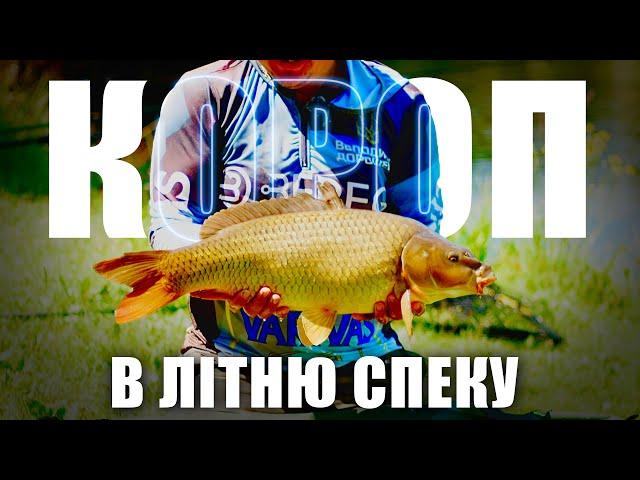 Короп в літню спеку #fishing