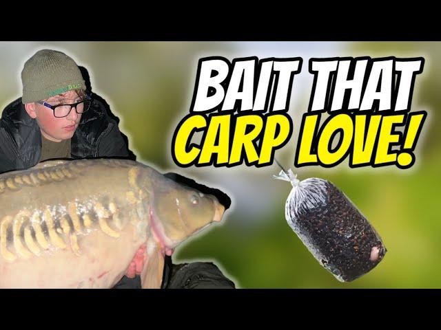 The Best Baits For Winter Carp Fishing!