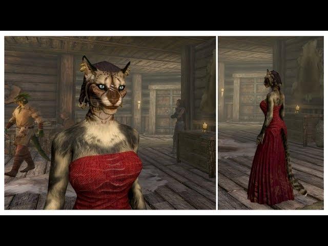 Skyrim Mod - Pretty Red Worn Dress CBBE