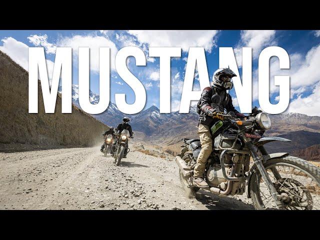 Mustang By Motorcycle