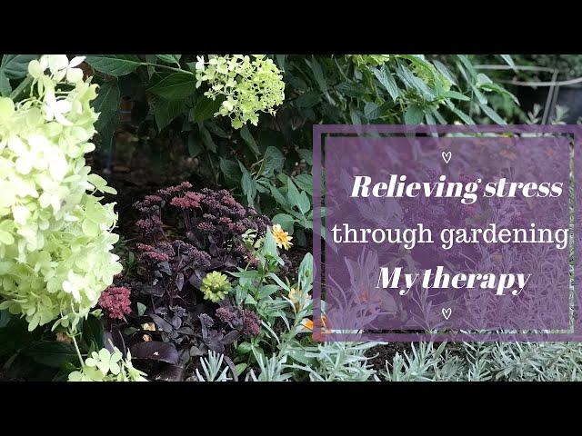 Relieving stress through gardening :: My therapy