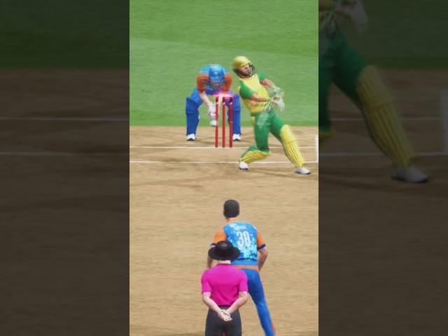 AWESOME WICKET IN DREAM CRICKET!