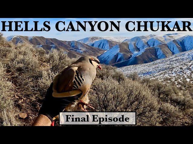 Hells Canyon pt 4, *SUBLIME Chukar Hunting!