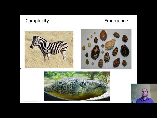 Introduction to Modelling Part 2