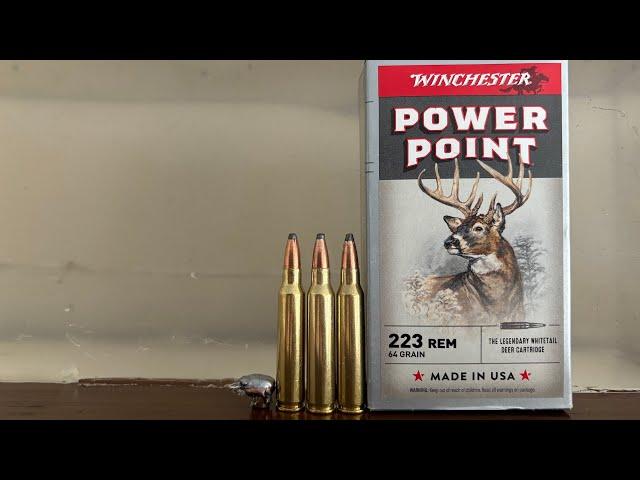 223 Gel Test: Should You Really Be Hunting Deer With The 223 Remington 64gr Power Point?