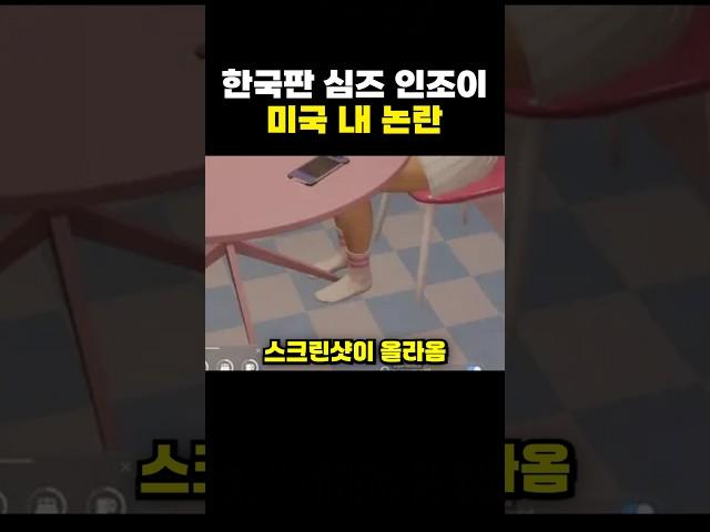한국판 심즈 인조이 미국내 논란