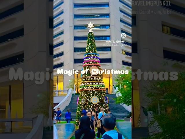 Magic of Christmas in Sydney  ️#Sydney #Australia #Christmas #celebration #travel #trending #fyp