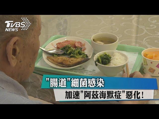 「腸道」細菌感染　加速「阿茲海默症」惡化！