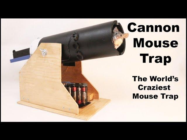 Cannon Mouse Trap - The World's Craziest Mouse Trap. Mousetrap Monday