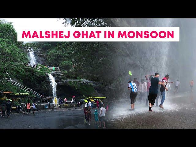 Malshej Ghat in Monsoon 2024 | Must Visit Place in Maharashtra | Road Trip Latest Video