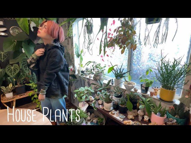 【季節の変わり目こそ管理´-】植物のある暮らし/ガーデニング/インドアグリーン/houseplants/観葉植物インテリア/ボタニカルライフ/관엽 식물