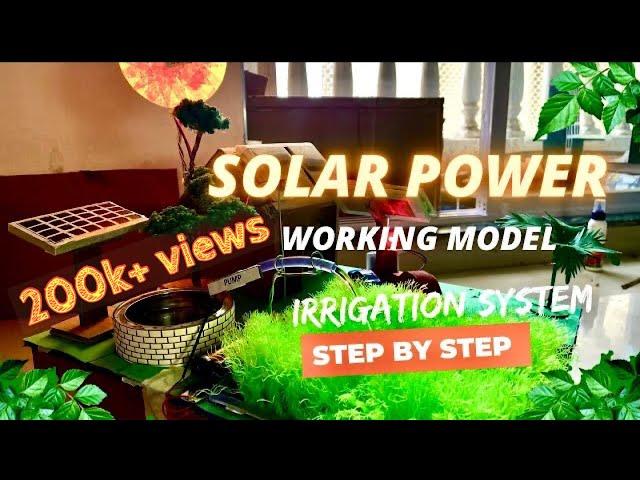 Solar Power Irrigation System _ working model #science , sustainable energy