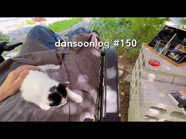 Dansoonlog 150 What happens when a kitten comes to a small house in the countryside