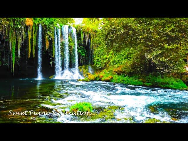 Waterfall River Nature Sounds with Beautiful Relaxing Piano Music - Water Sounds Relaxing Music