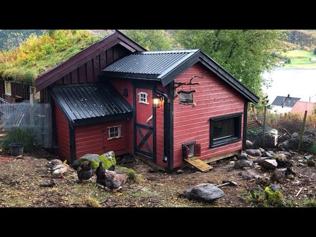 Building A Chicken Coop That Can Handle The Norwegian Winter