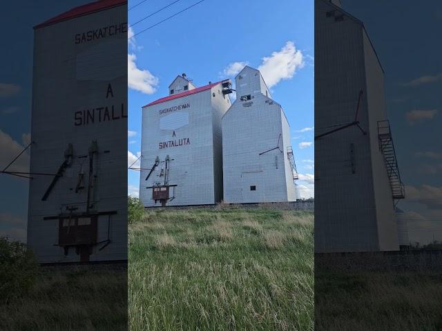 Sintaluta, Saskatchewan Grain Elevator