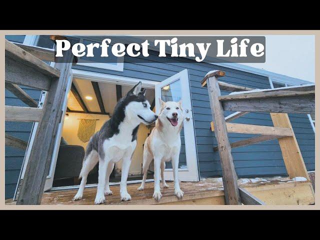 Living with Dogs in a Tiny House!