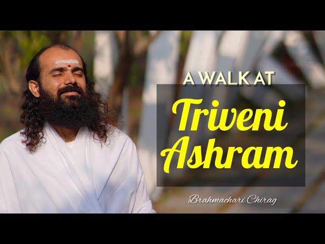 A walk at Triveni Ashram | Art Of Living | Made with Love | Brahmachari Chirag | captured from phone