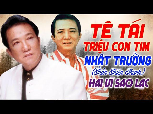 LK Hai Vì Sao Lạc - Tiếng hát Nhật Trường Hay Tê Tái Triệu Con Tim | Nhạc Vàng Xưa Bất Hủ