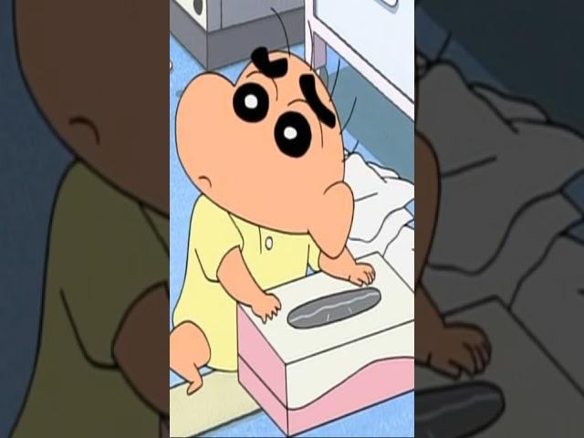 애기짱구