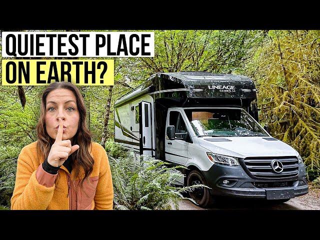 RV Road trip Into One of America's Last Rainforests