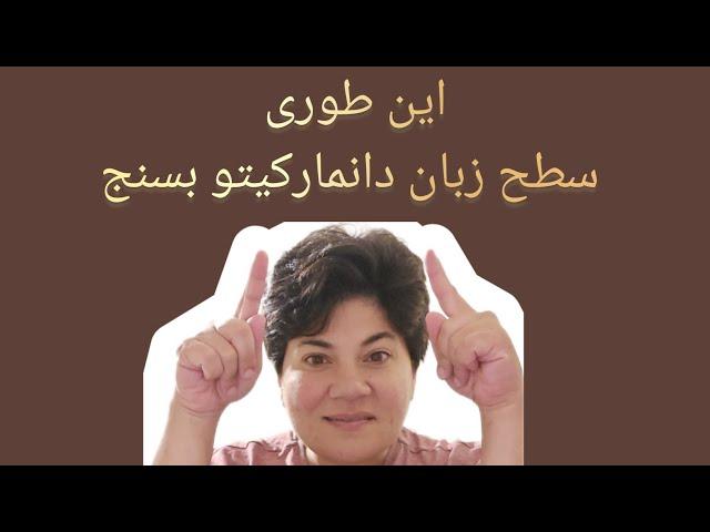 این طوری سطح زبان دانمارکیتو بسنج