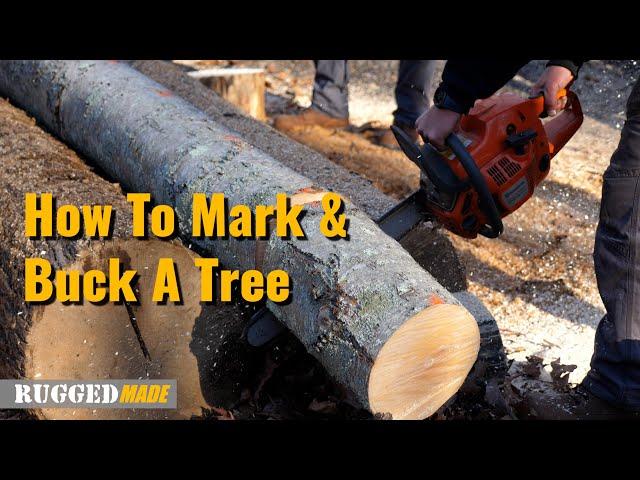 How to Mark, Buck, and Split a Tree Into Firewood