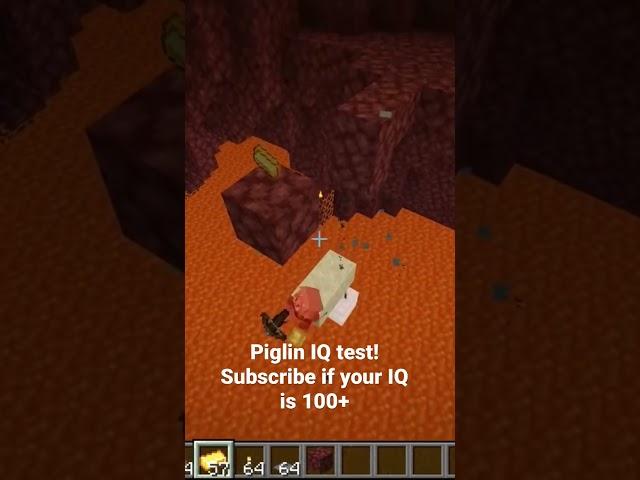 Piglin IQ test!!