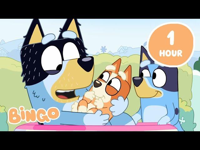 LIVE: Family Time with Bingo  | Bluey Full Episodes | Bingo