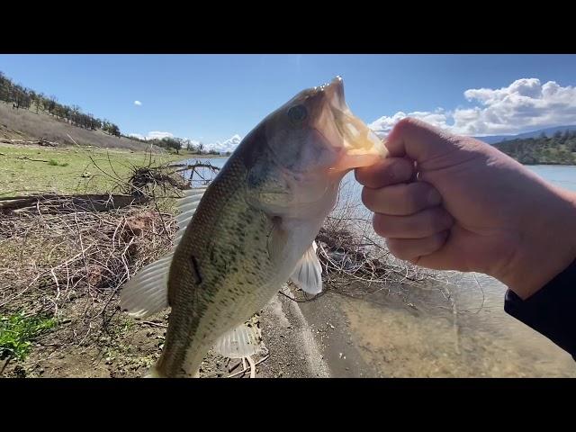 Bank Fishing For Bass (Bonus Find!)