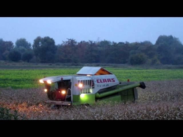 Maize/Corn harvesting with Claas Mega 350