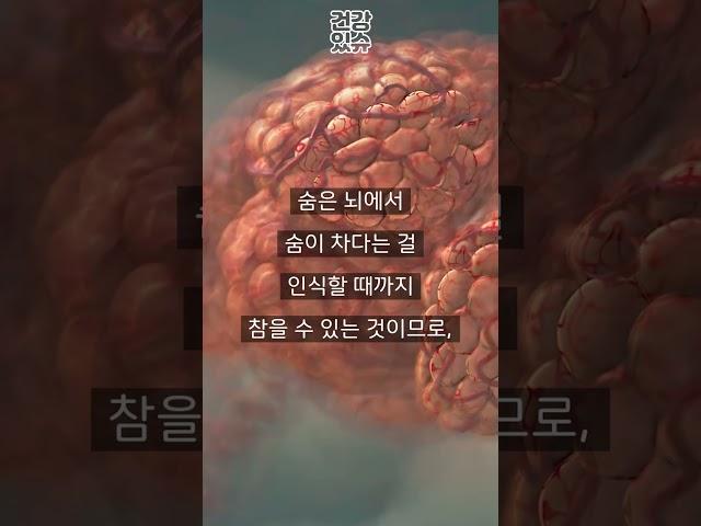 폐 건강 테스트 통과하면 정말 폐가 건강한 걸까?