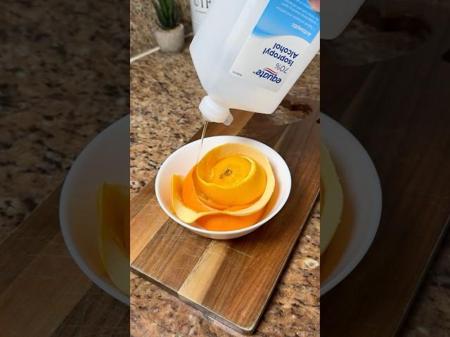 Transform Orange Peels into a Powerful Home Cleaner!   #homehacks #lifehacks #cleaninghacks