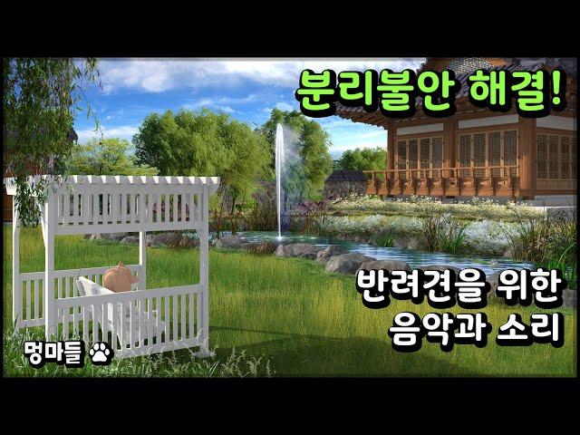 #Mungmadle  Resolving dog separation anxiety | Korean dog music and sounds of nature