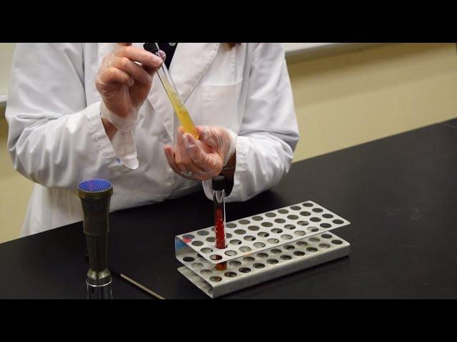 How to Inoculate a Slant - MCCC Microbiology