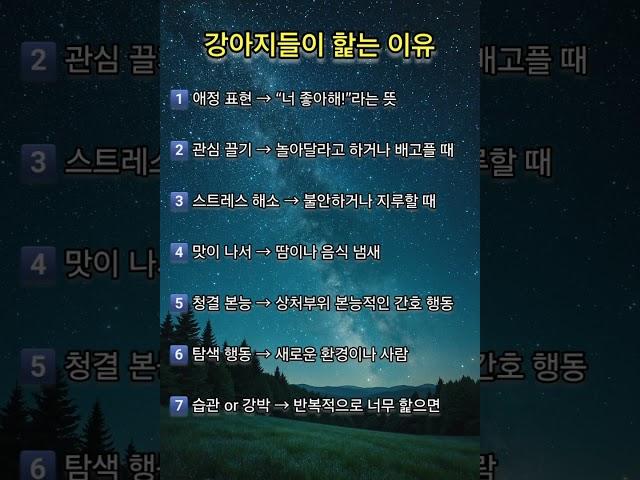 강아지들이 핥는 이유 #강아지 #명상 #명언 #삶 #삶의지혜 #좋은글 #좋은글귀 #인생 #인생명언 #인생조언 #아침 #아침묵상 #건강 #철학 #부자 #자기계발 #영어 #학습