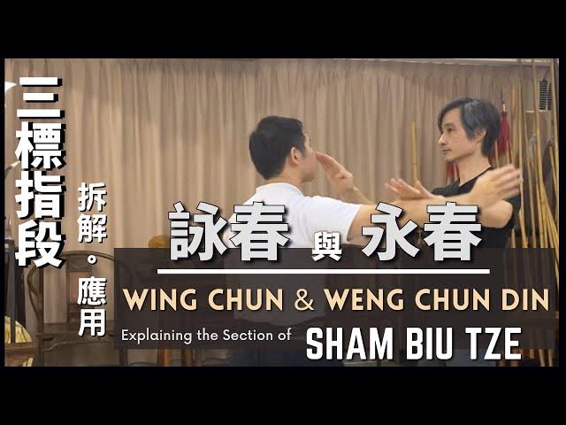 詠春 與 永春拆解三標指段 應用 Wing Chun & Weng Chun Din-Explaining the Section of Sham Biu Tze